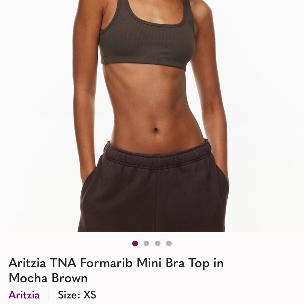 Aritzia TNA Formarib Bra Top in Mocha Brown